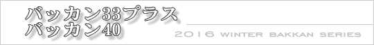 2016新発売バッカンその他